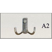 A2