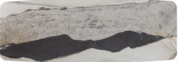 S 110